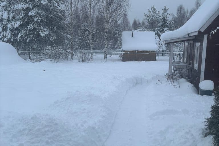 Зима в Шелухово